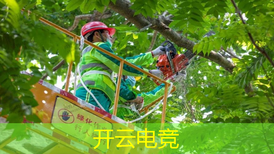 kaiyun电竞平台：3d女神策略游戏大全