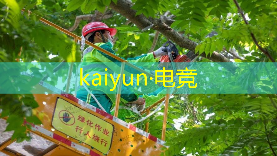 kaiyun电竞官方网站入口：航海王3d回合制游戏