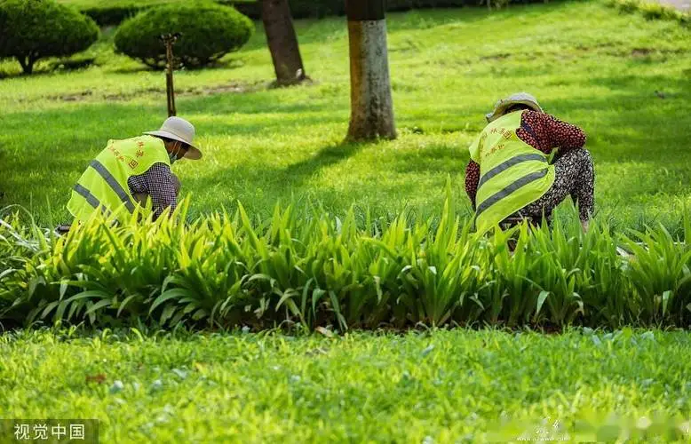 开云电竞：3d驾驶小游戏简介内容