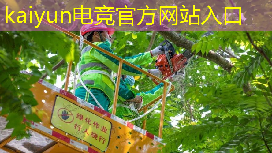 3d女神策略游戏大全