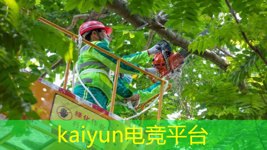 抖音游戏原画大佬叫什么