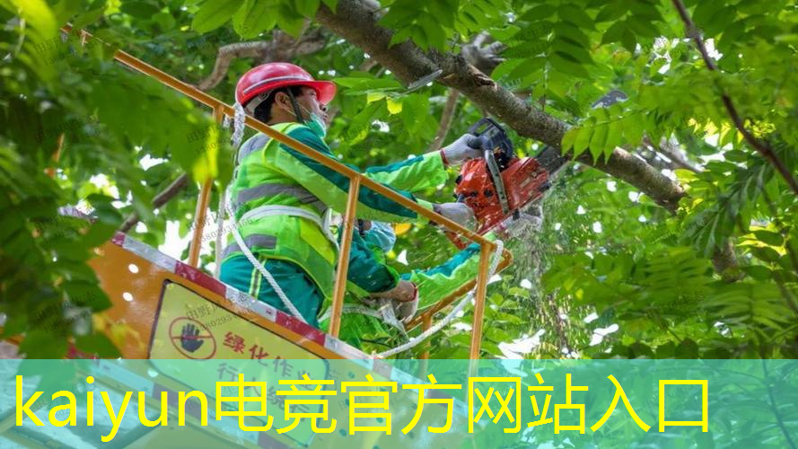 3d动漫创造游戏在线观看
