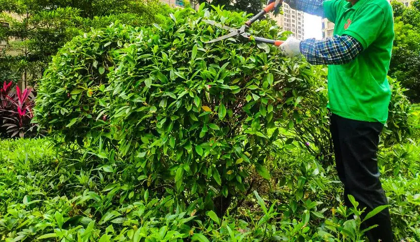 怎样不让小程序下游戏