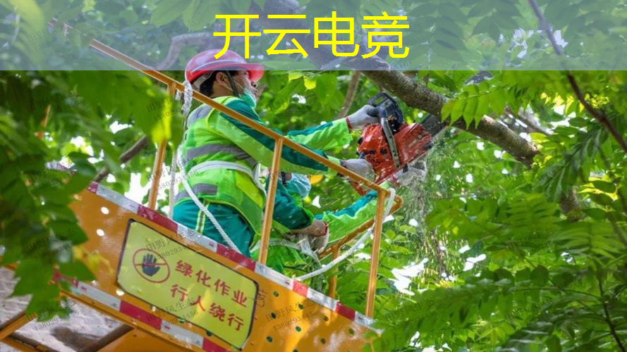 烟花模拟器2024最新版3d小游戏