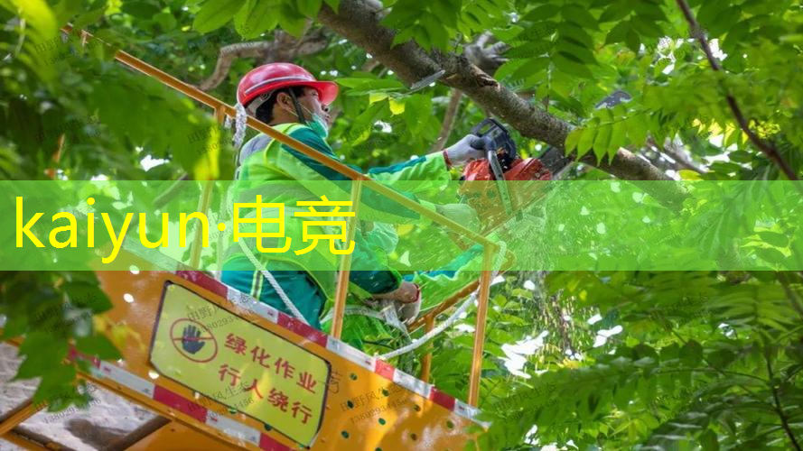 青年电竞大赛总决赛有什么特别的惊喜活动？