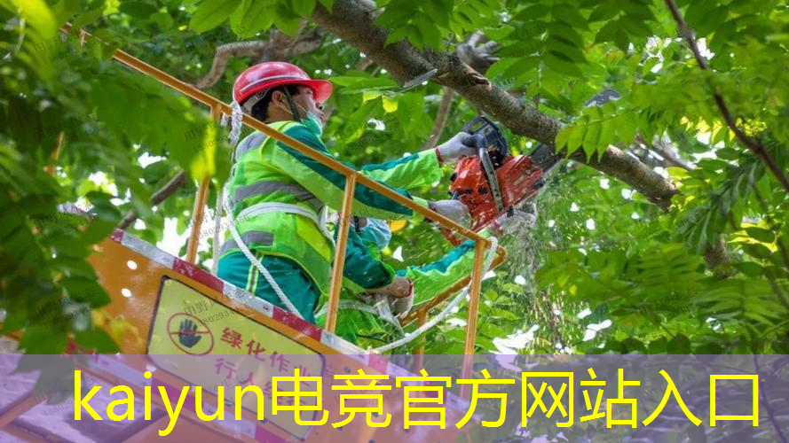 游戏ui卡牌边框设计