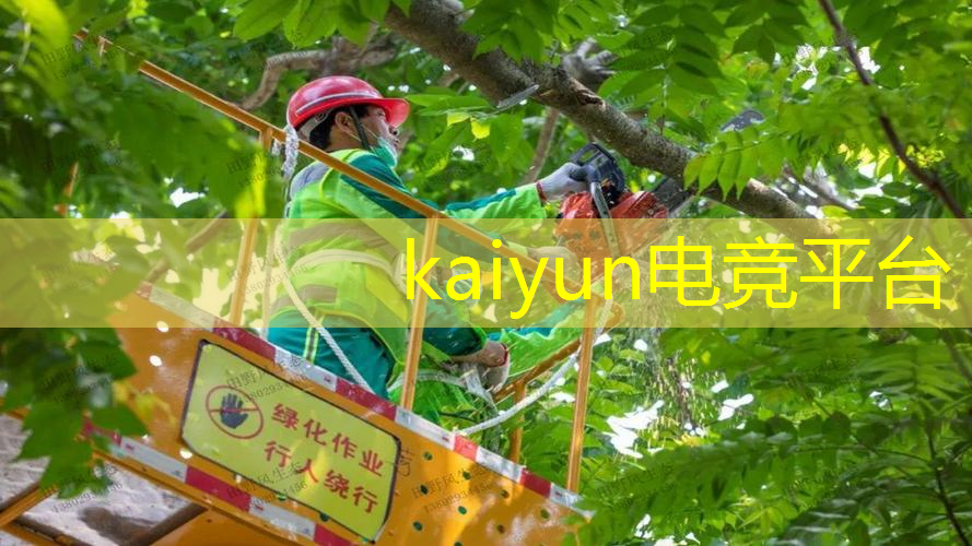 三国武将养成游戏推荐3d