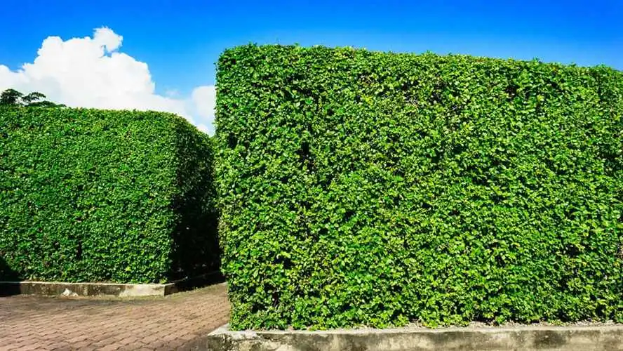 游戏原画立绘关键词推荐